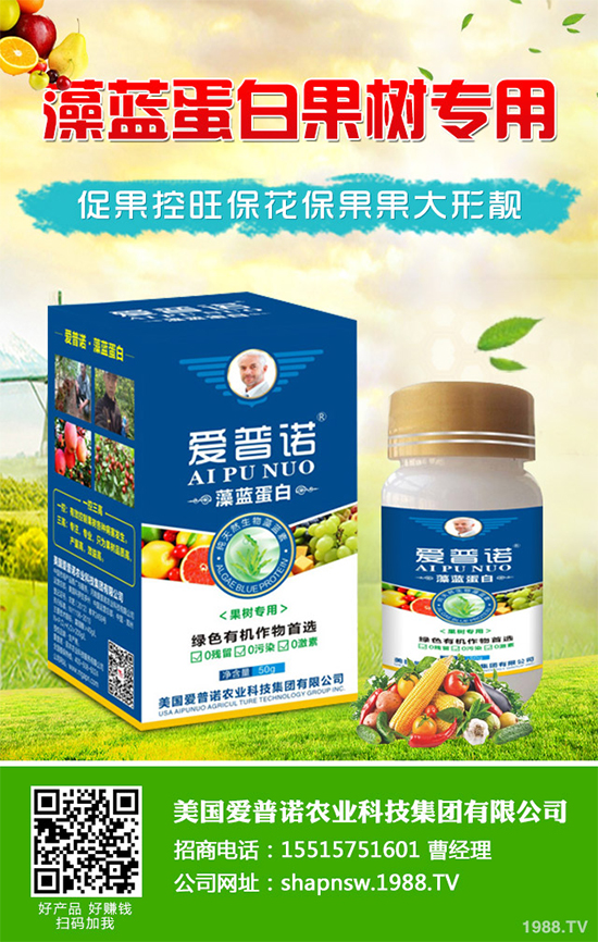 白菜黑斑病有哪些危害癥狀?白菜黑斑病的發(fā)生與防治