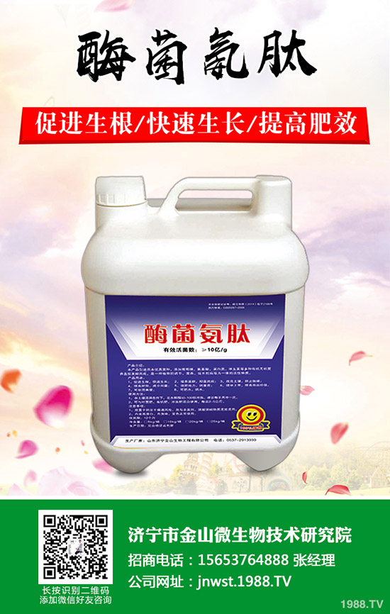 天冬怎樣種植，天冬高產(chǎn)管理技術(shù)！