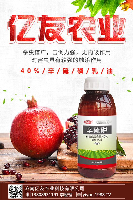 臘梅種子怎么種，臘梅種子種植方法！