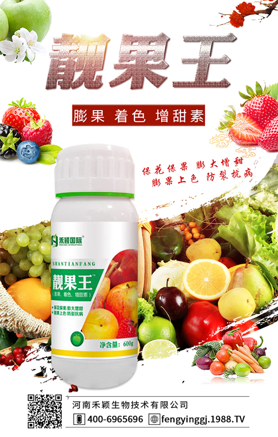 菠菜種植怎么施肥呢?菠菜種植施肥技巧