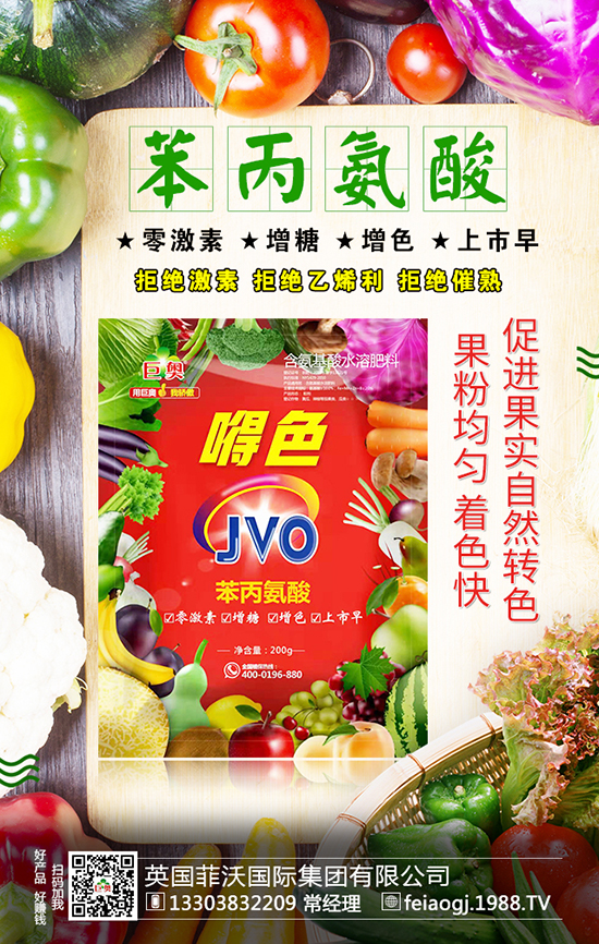 英國(guó)菲沃國(guó)際集團(tuán)有限公司6