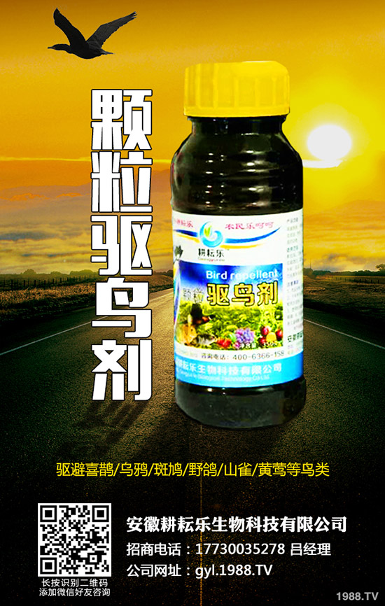氯氟吡氧乙酸異辛酯適用范圍有哪些？作用特點及使用注意事項知道么？