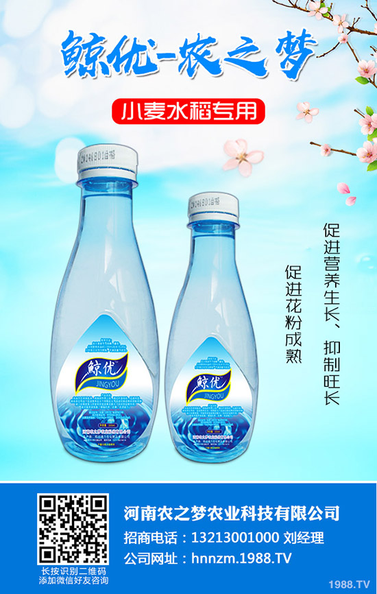 番茄缺鈣是什么表現(xiàn)？番茄補(bǔ)鈣措施！