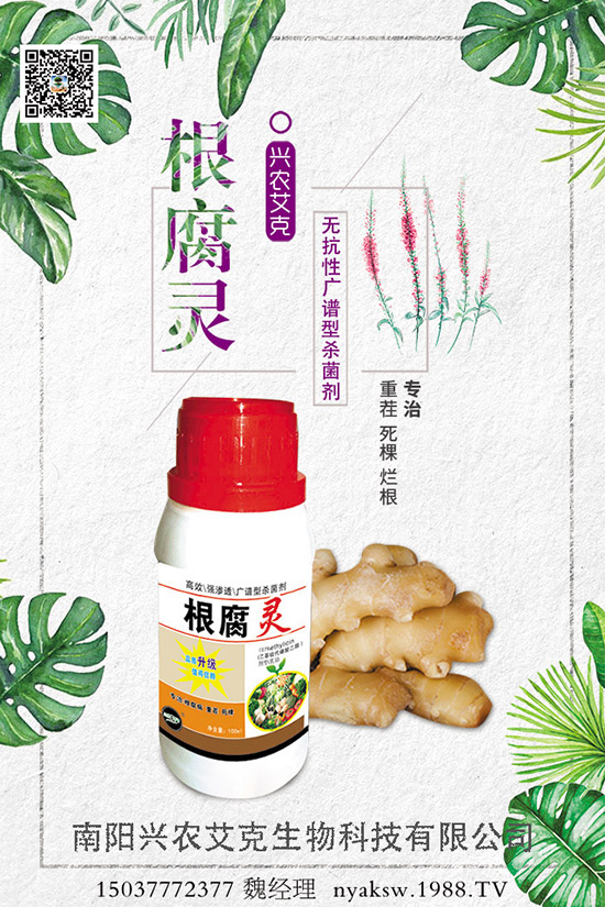 石榴樹能和哪些樹木嫁接，石榴樹的嫁接方法！
