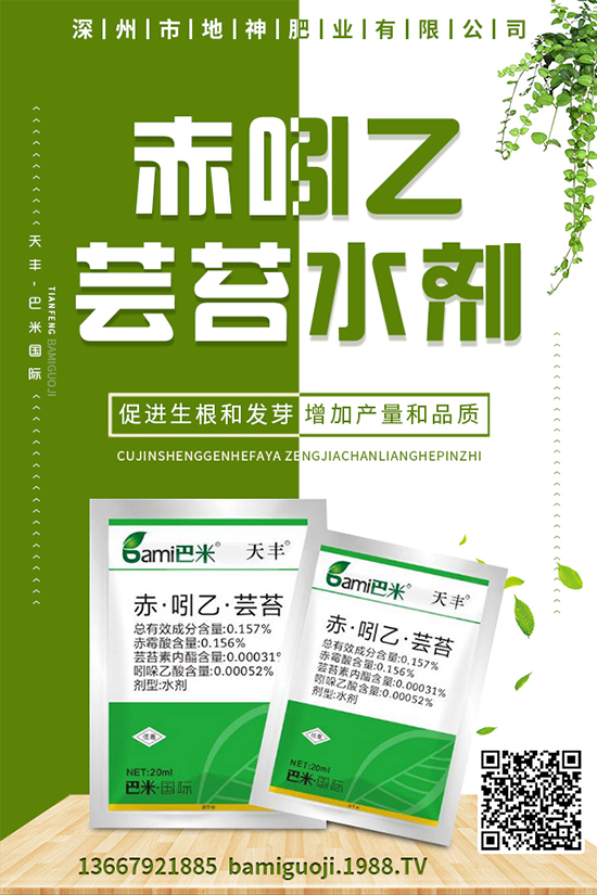 雞蛋果怎樣種植？雞蛋果種植技術(shù)及注意事項！