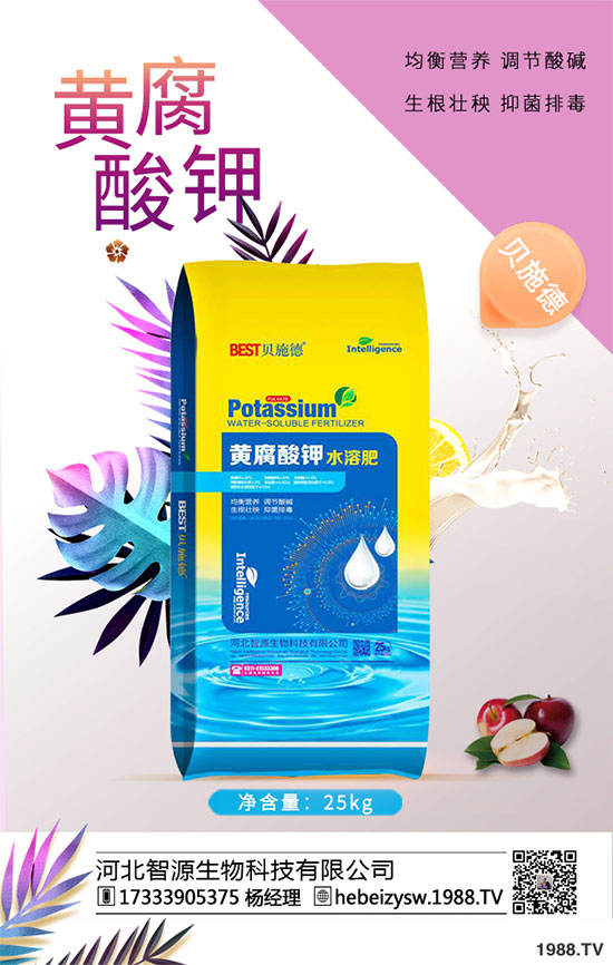 八月炸怎樣種植？八月瓜栽培技術(shù)！