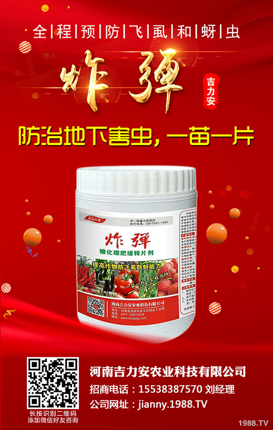 芹菜的功效與作用，哪些人不能吃芹菜？