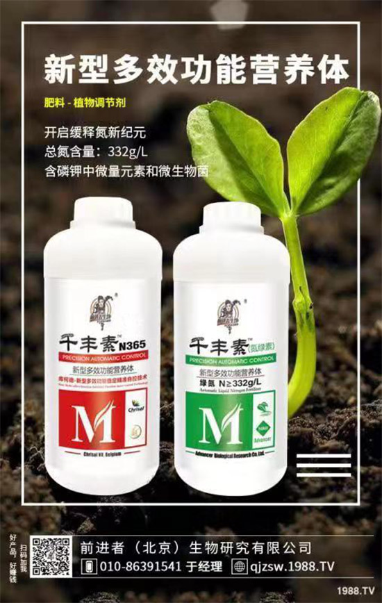 花生爛果怎么回事？花生爛果的防治措施！