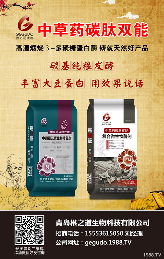     尿素跌至成本線(xiàn)？2019年11月國(guó)內(nèi)尿素市場(chǎng)行情走勢(shì)預(yù)測(cè)！