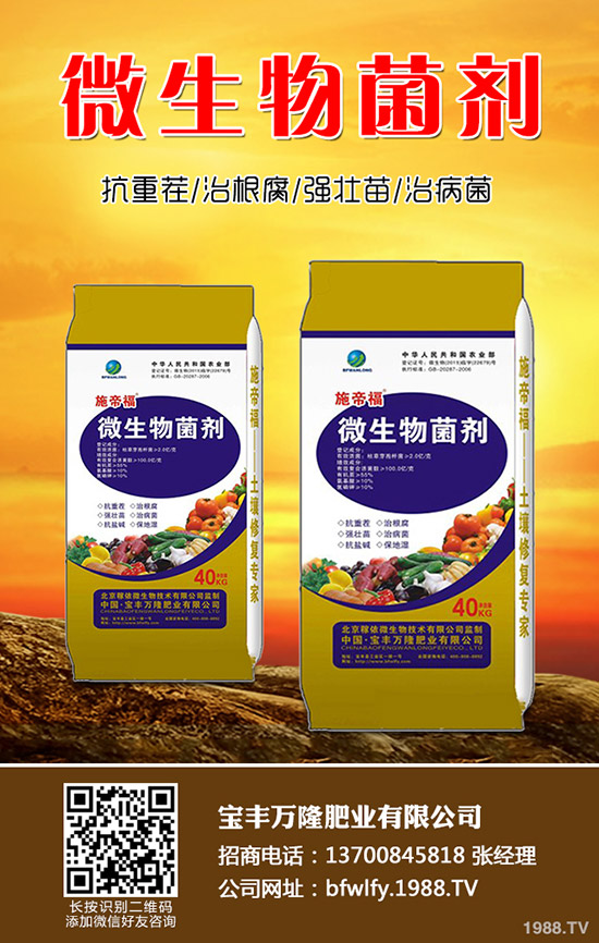 黑豆什么時(shí)候種植，黑豆收獲時(shí)間及種植方法！