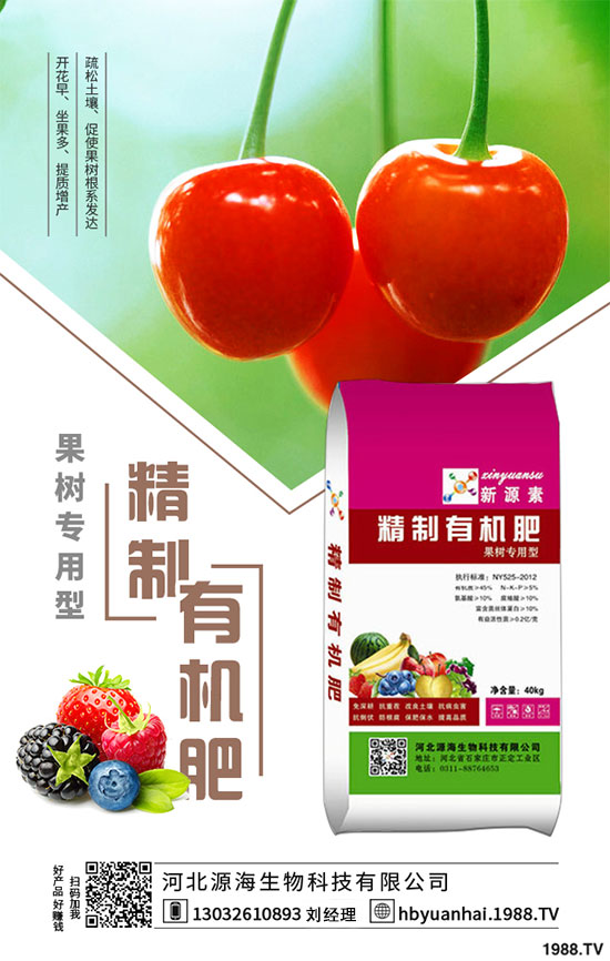 苦瓜種植施肥的兩大誤區(qū)，種植苦瓜需要注意哪些條件？