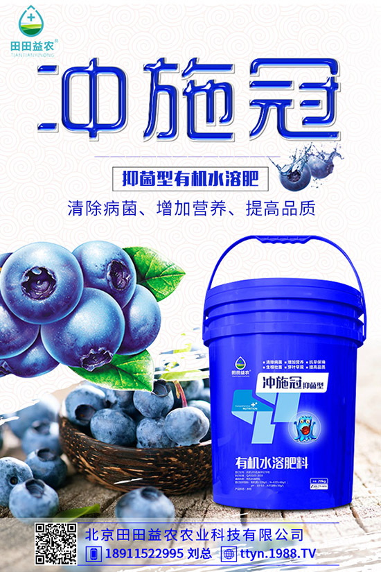 南瓜什么時候種植，南瓜的種植要點有哪些？