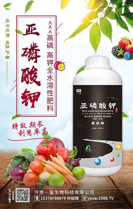 櫻桃樹為什么不結(jié)果？櫻桃樹不結(jié)果實(shí)的的解決方案！