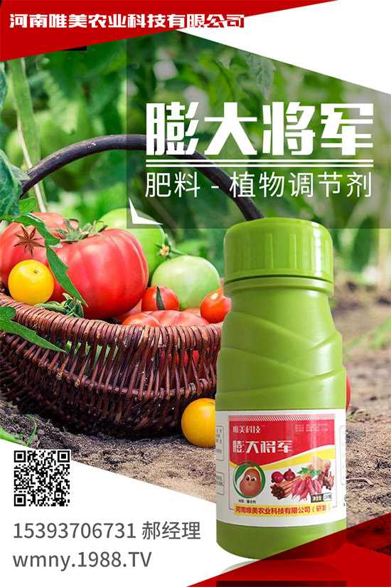 吃西柚有什么好處？挑選西柚的小技巧！