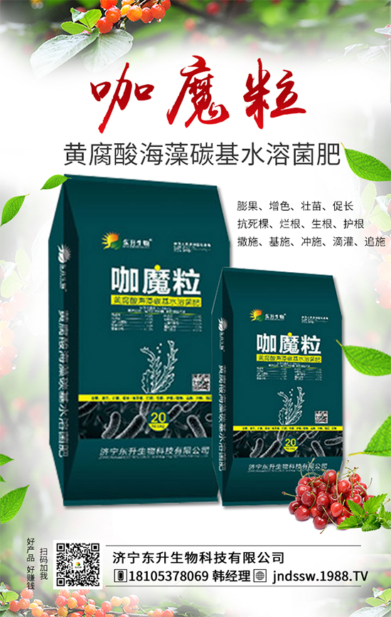 大棚草莓旺長的原因，大棚草莓旺長解決措施