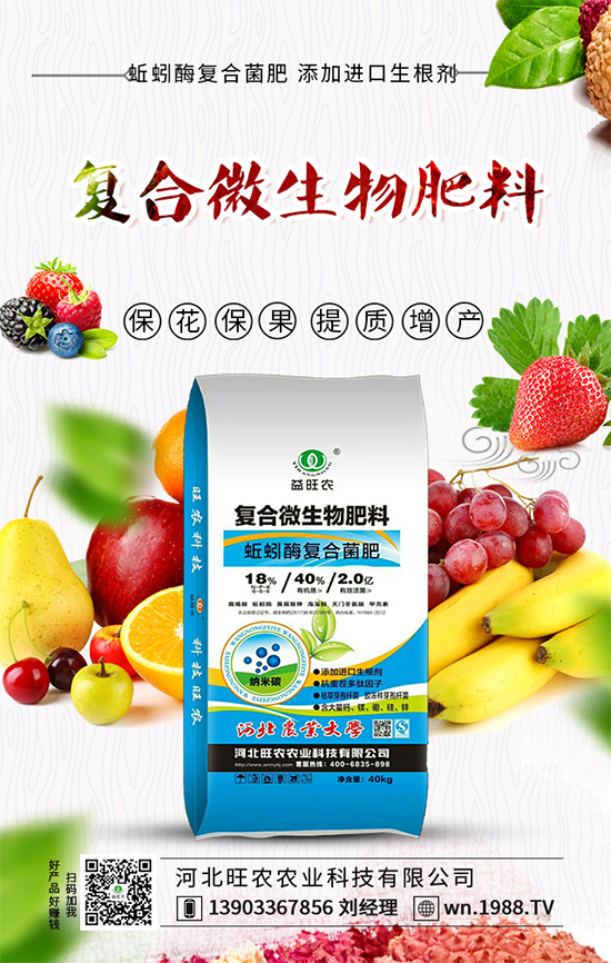 番茄卷葉發(fā)生原因，番茄卷葉防控措施！