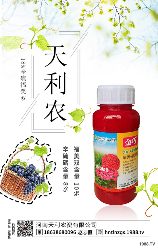 冬棗縮果病是咋回事？冬棗縮果病發(fā)病癥狀、原因和防治措施！