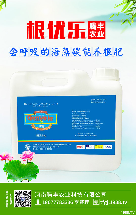 石榴褐斑病導(dǎo)致發(fā)黃落葉怎么辦?石榴褐斑病的防治要點(diǎn)!