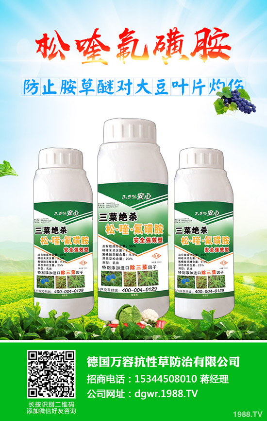 黃豆什么時(shí)間種植，黃豆的種植方法有哪些？