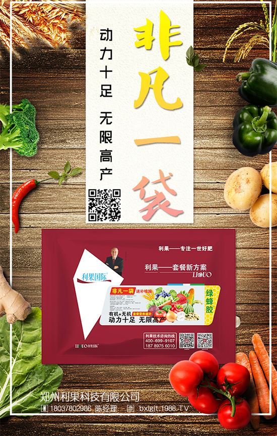 冬天大白菜如何儲存？冬季大白菜保鮮方法