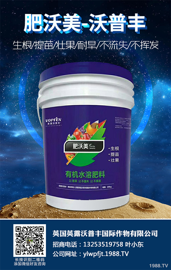 冬季能移植白皮松嗎？白皮松冬季移植攻略