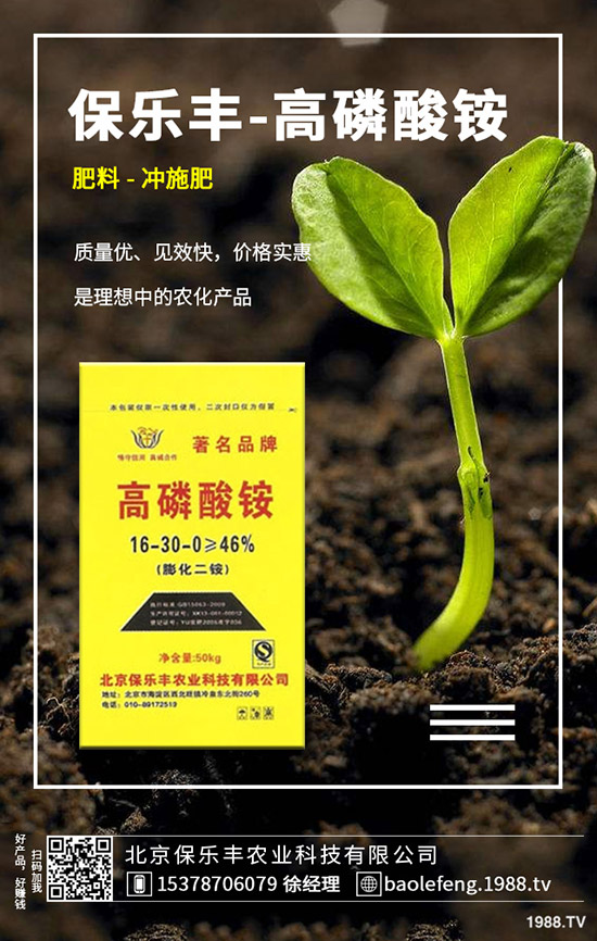 白菜白斑病危害、發(fā)病規(guī)律有哪些？白菜白斑病如何防控？