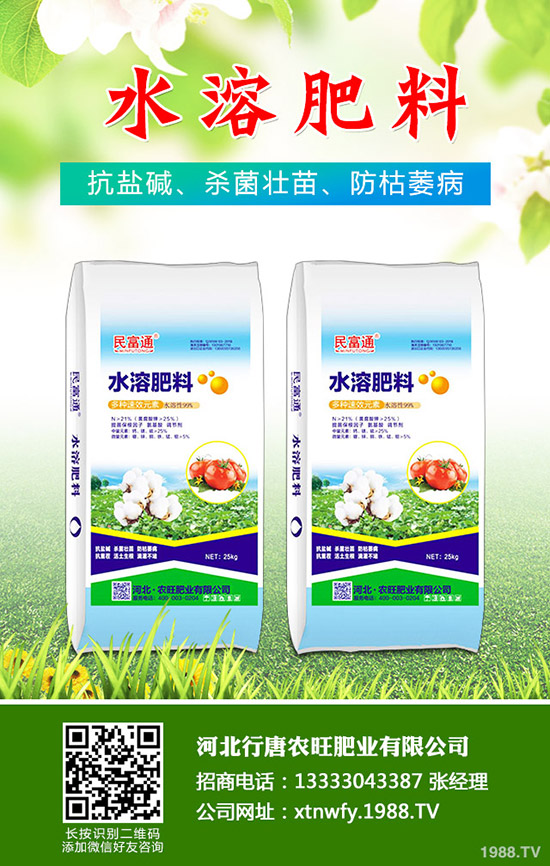 苦瓜得了白粉病怎么辦，苦瓜白粉病綜合防治