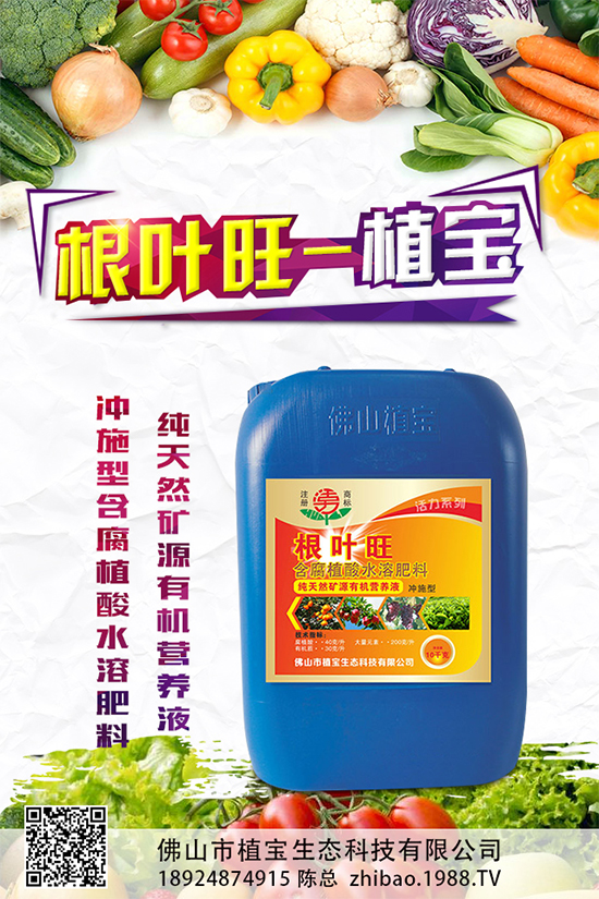 你知道草石蠶該怎么種嗎？草石蠶的種植技巧