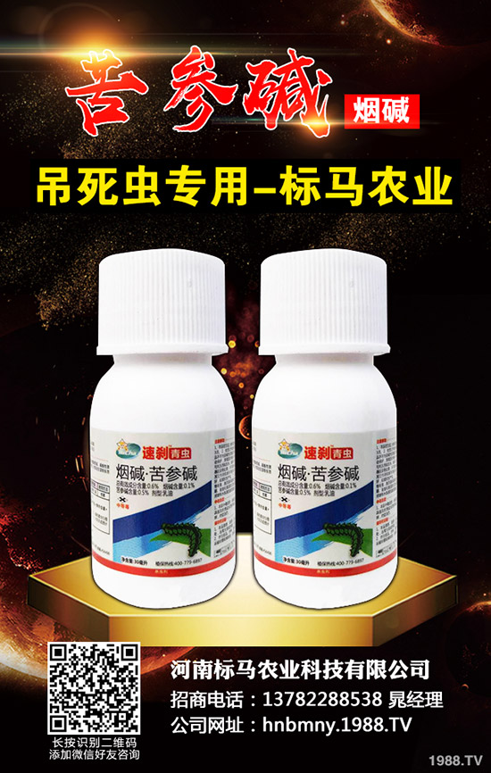 辣椒蚜蟲的危害癥狀及發(fā)病條件，辣椒有哪些防治方法？