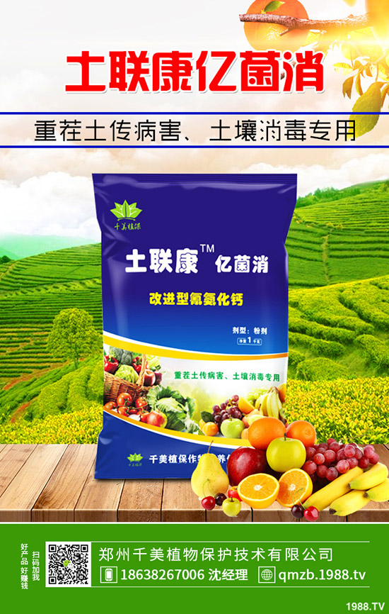     ���ص�������r(ji��)������������������C�Ϸ���2019-11-4