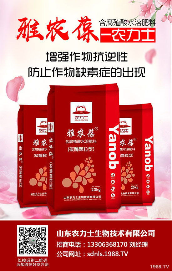     ����(ch��)δ�_ʼ�����@����δ�������ն��@���³��S�����r(ji��)��2019-11-5