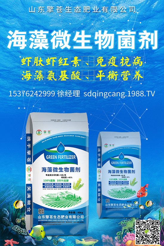     尿素價格跌出新價！2019年11月初尿素行情走勢分析及后市預(yù)測！