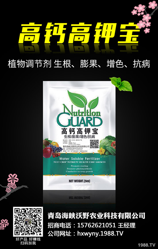 小麥田雜草什么時候防治更佳？小麥雜草解決方案！