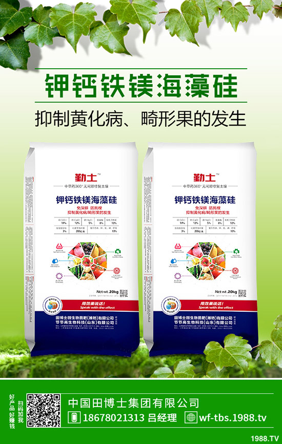     2019年11月8日最新鉀肥行情走勢預(yù)測，氯化鉀出廠報(bào)價(jià)一覽