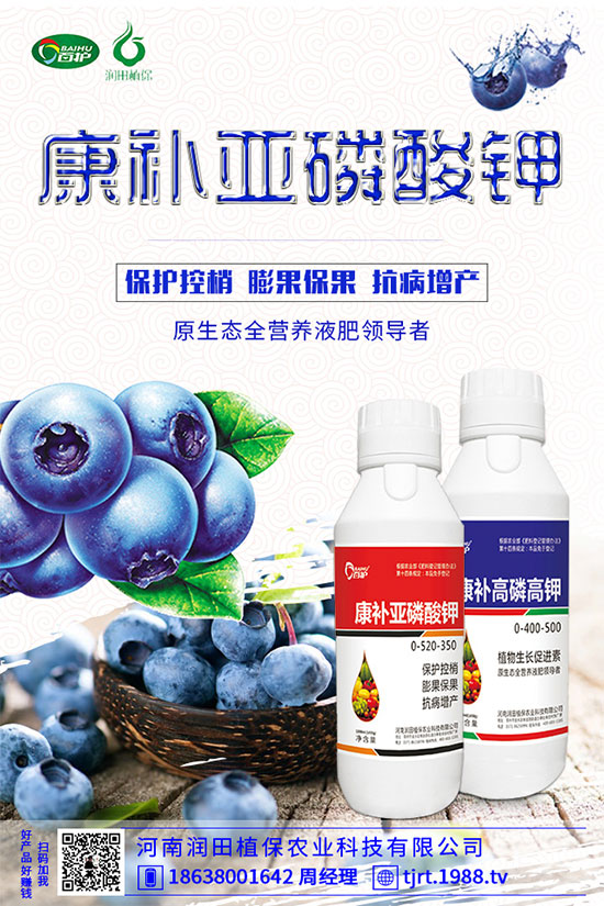 朝天椒什么播種？朝天椒的種植方法及病蟲害防治