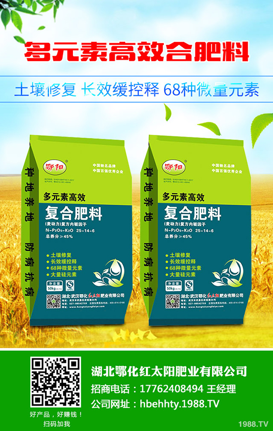 黑皮甘蔗怎么種，黑皮甘蔗種植技術(shù)有哪些？