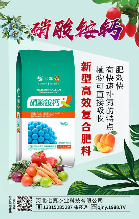 2020年茶籽價格多少錢一斤?油茶樹種植前景如何?(附種植技術(shù))