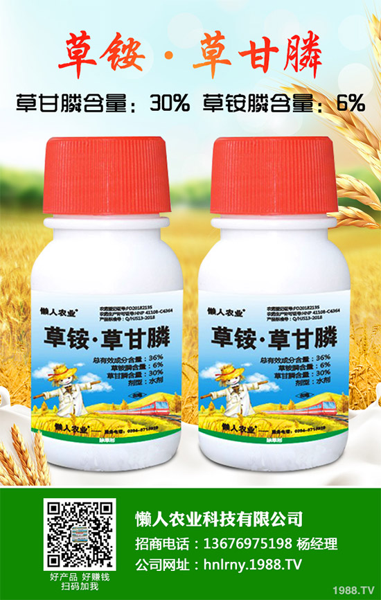 縷、灰藜的勁敵來了青海成功研發(fā)一種微生物除草劑