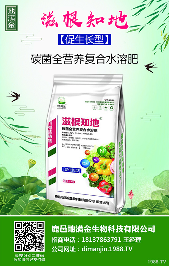 蔓荊子多少錢一斤？2020年蔓荊子種植前景及效益分析