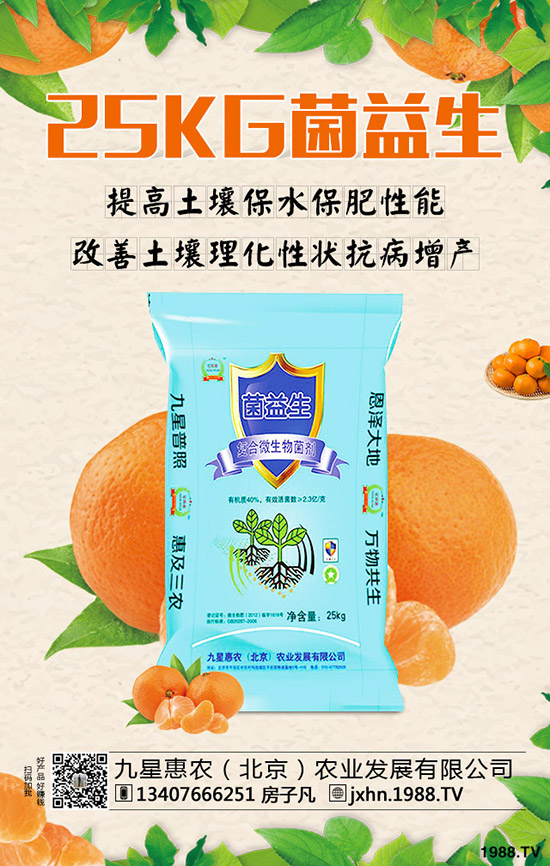 李子樹(shù)怎么種植？李子樹(shù)管理技術(shù)！