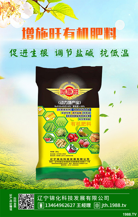 蔓荊子多少錢一斤？2020年蔓荊子種植前景及效益分析