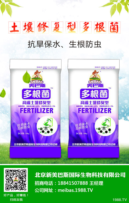 �����Nֲ��ע����Щ���}���������F(xi��n)���_����ô�k��