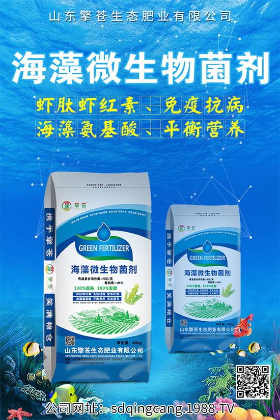 辣椒早衰什么癥狀？辣椒早衰的防治措施！