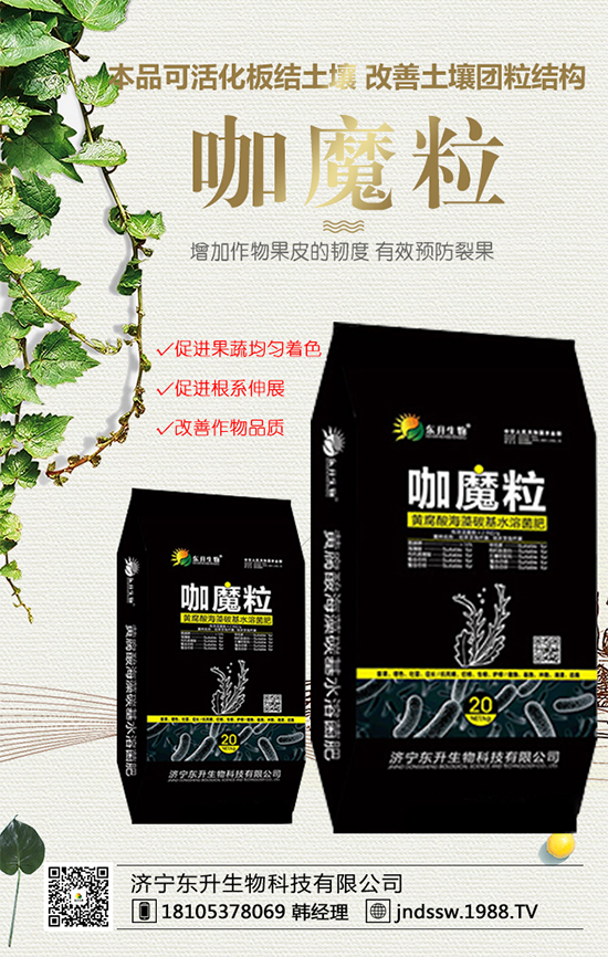 黑玉米價(jià)格多少錢一斤?2020年種植前景及效益分析!