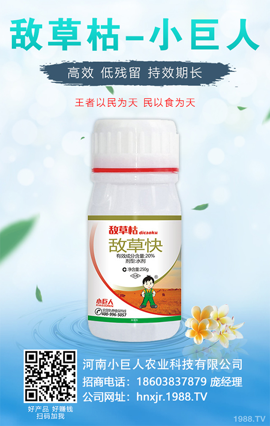 無花果種植行情怎么樣？如果能實現(xiàn)種植高產(chǎn)？