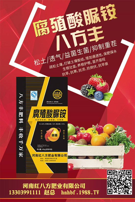 大棚蘑菇該如何種植？大棚蘑菇的種植管理技術(shù)