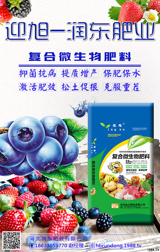 芒果旺長怎么辦?農(nóng)戶們?nèi)绾螒獙γ⒐L?