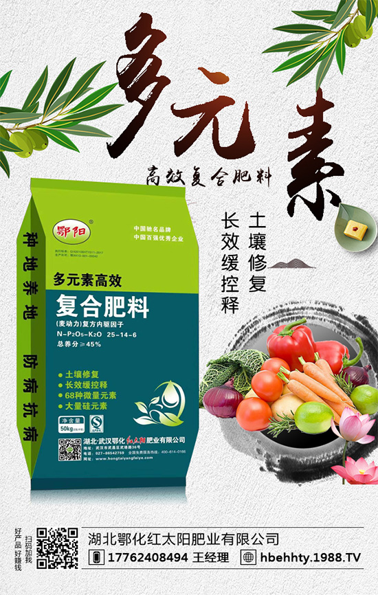 洋蔥什么時間種植？洋蔥的種植要點！