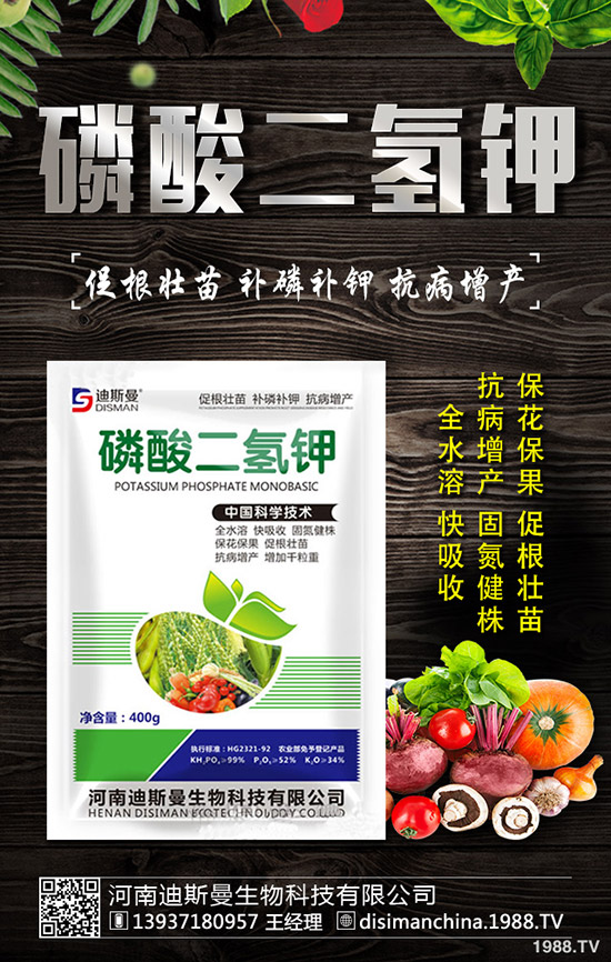 醋栗怎么種植，醋栗種植方法及日常管理技巧！