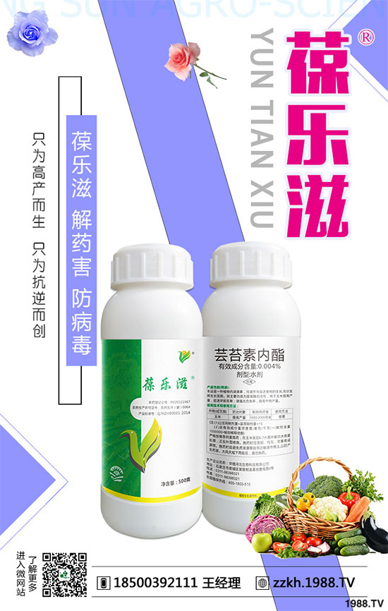 花椰菜黑腐病危害有哪些？花椰菜黑腐病的防治措施！